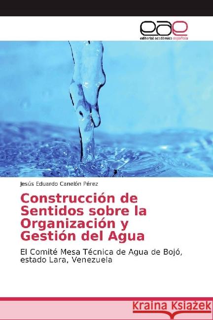 Construcción de Sentidos sobre la Organización y Gestión del Agua : El Comité Mesa Técnica de Agua de Bojó, estado Lara, Venezuela