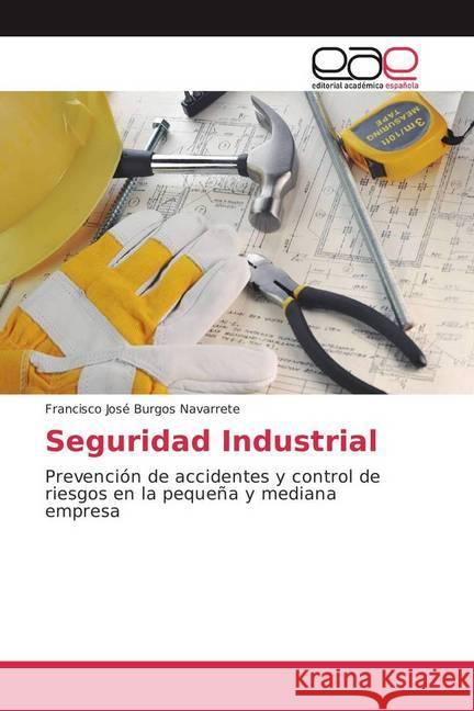 Seguridad Industrial : Prevención de accidentes y control de riesgos en la pequeña y mediana empresa