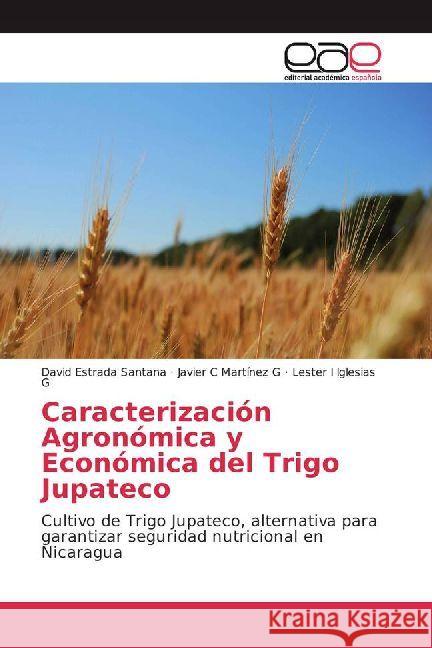 Caracterización Agronómica y Económica del Trigo Jupateco : Cultivo de Trigo Jupateco, alternativa para garantizar seguridad nutricional en Nicaragua