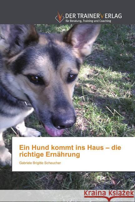Ein Hund kommt ins Haus - die richtige Ernährung