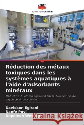 Réduction des métaux toxiques dans les systèmes aquatiques à l'aide d'adsorbants minéraux