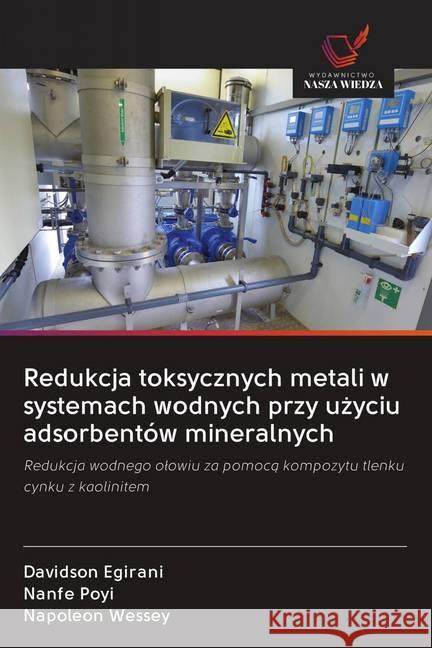 Redukcja toksycznych metali w systemach wodnych przy uzyciu adsorbentów mineralnych