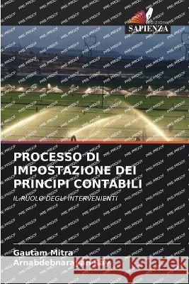 Processo Di Impostazione Dei Principi Contabili