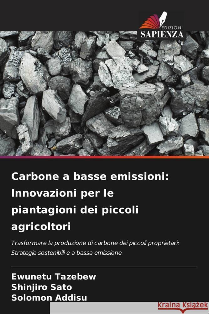 Carbone a basse emissioni: Innovazioni per le piantagioni dei piccoli agricoltori