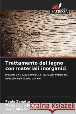 Trattamento del legno con materiali inorganici