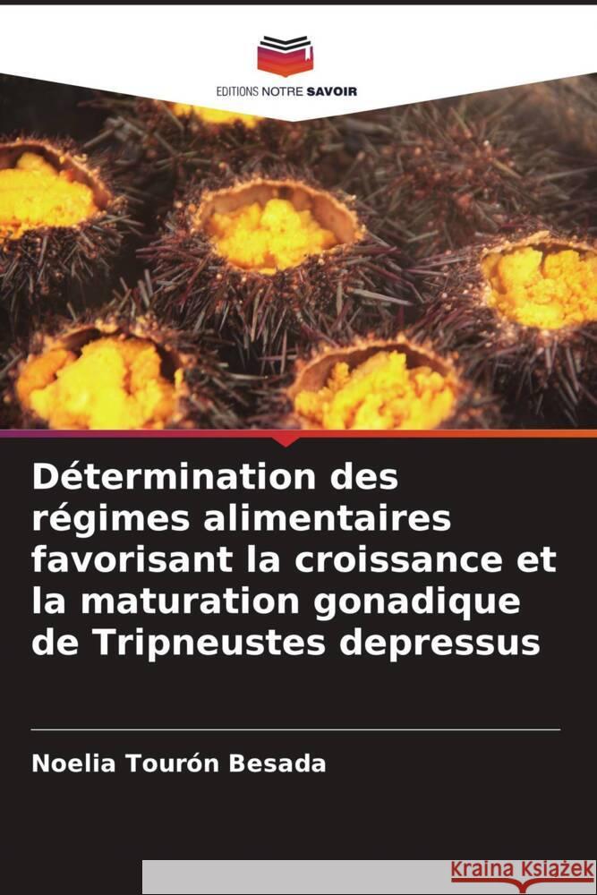 Détermination des régimes alimentaires favorisant la croissance et la maturation gonadique de Tripneustes depressus