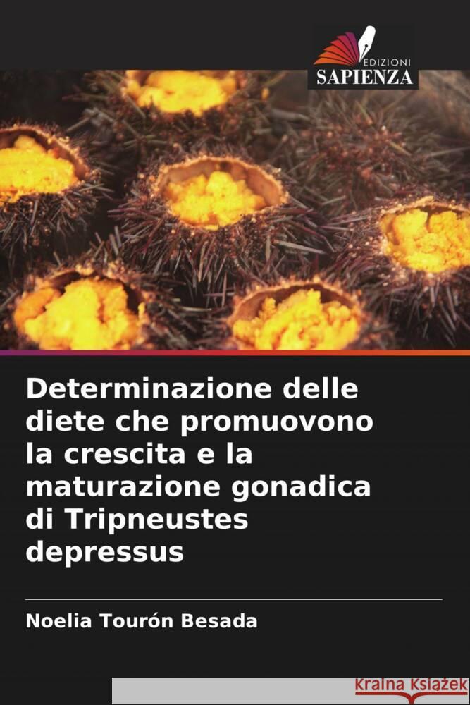 Determinazione delle diete che promuovono la crescita e la maturazione gonadica di Tripneustes depressus