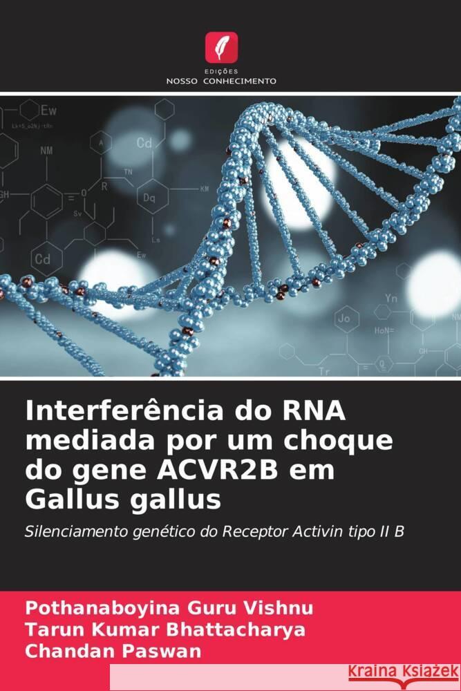 Interferência do RNA mediada por um choque do gene ACVR2B em Gallus gallus