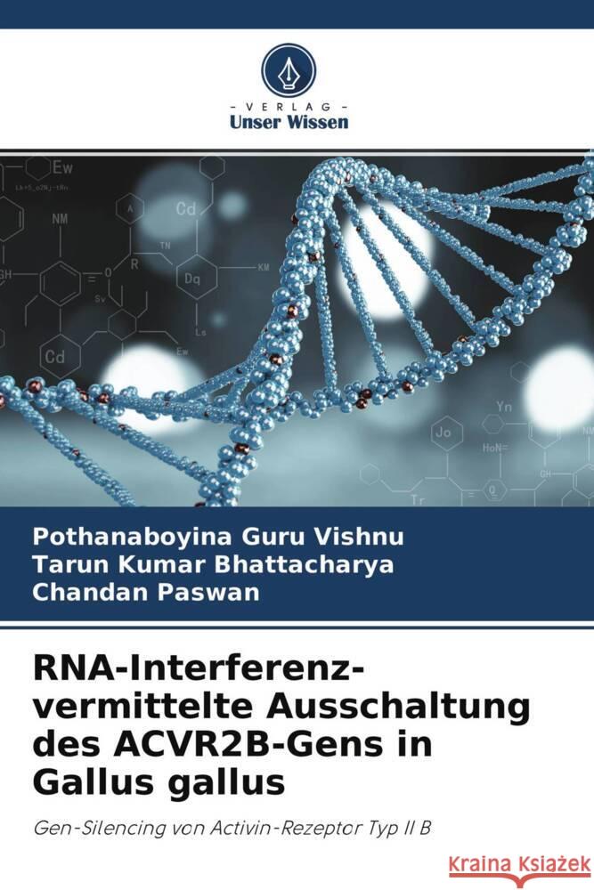 RNA-Interferenz-vermittelte Ausschaltung des ACVR2B-Gens in Gallus gallus