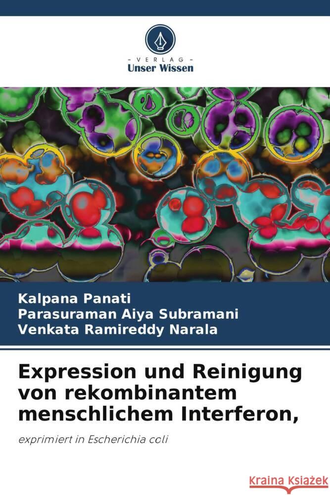 Expression und Reinigung von rekombinantem menschlichem Interferon,