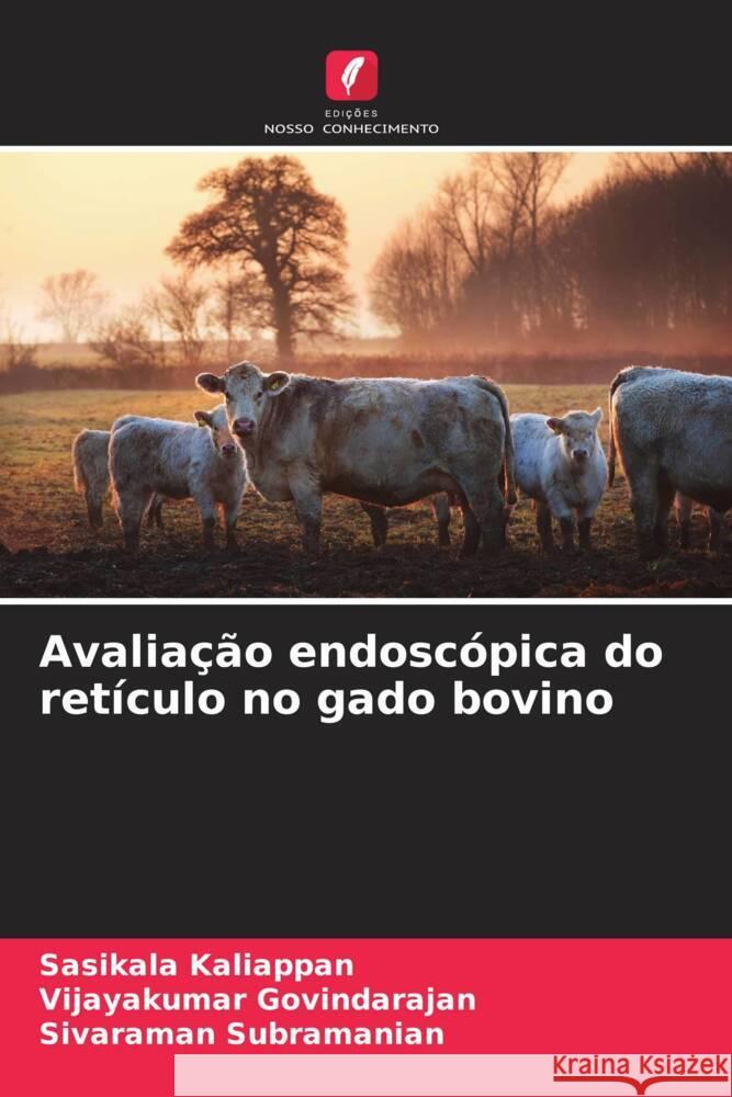 Avaliação endoscópica do retículo no gado bovino