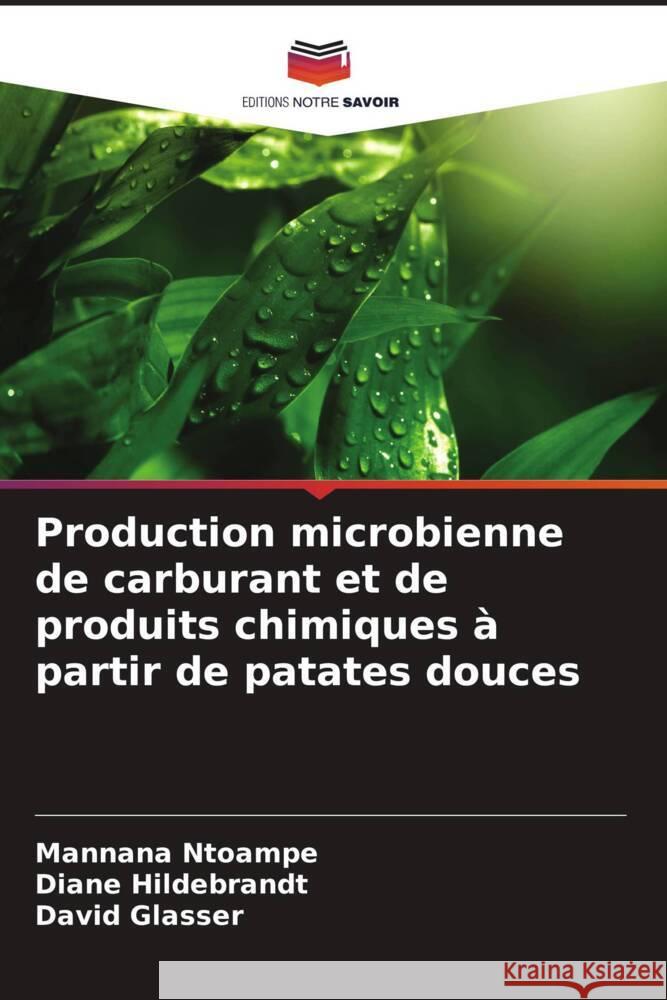 Production microbienne de carburant et de produits chimiques à partir de patates douces