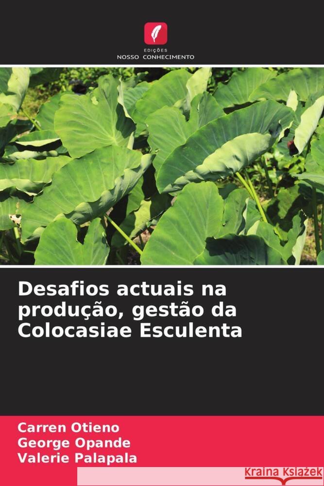 Desafios actuais na produção, gestão da Colocasiae Esculenta