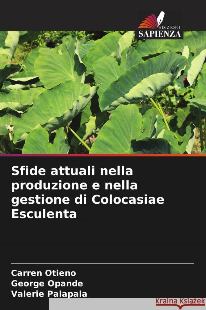 Sfide attuali nella produzione e nella gestione di Colocasiae Esculenta