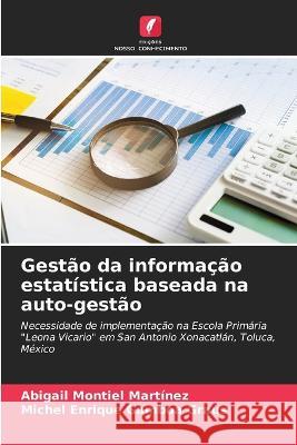 Gestao da informacao estatistica baseada na auto-gestao