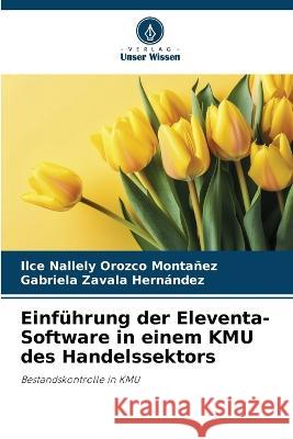 Einfuhrung der Eleventa-Software in einem KMU des Handelssektors