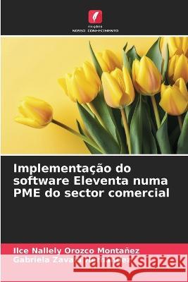 Implementacao do software Eleventa numa PME do sector comercial