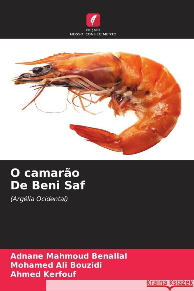 O camarão De Beni Saf