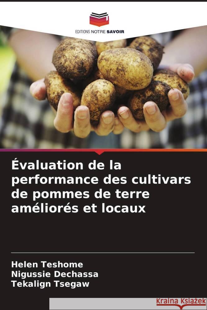 Évaluation de la performance des cultivars de pommes de terre améliorés et locaux