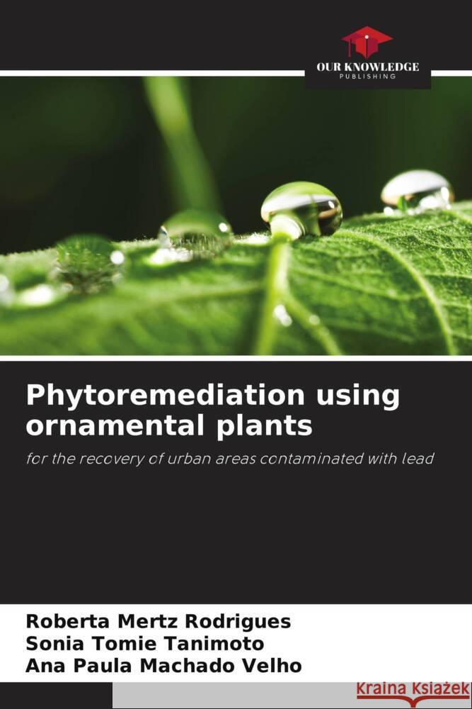 Phytoremediation using ornamental plants
