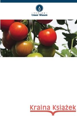 Tomatenveredelung für verbesserte Erträge und Qualität in Tansania