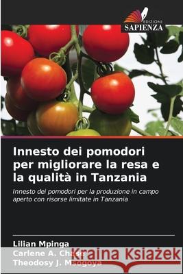 Innesto dei pomodori per migliorare la resa e la qualità in Tanzania