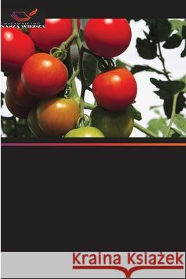 Szczepienie pomidorów w celu poprawy plonów i jakosci w Tanzanii