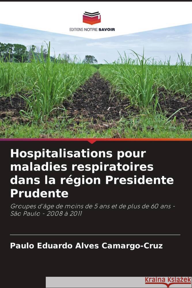 Hospitalisations pour maladies respiratoires dans la région Presidente Prudente