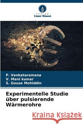 Experimentelle Studie über pulsierende Wärmerohre