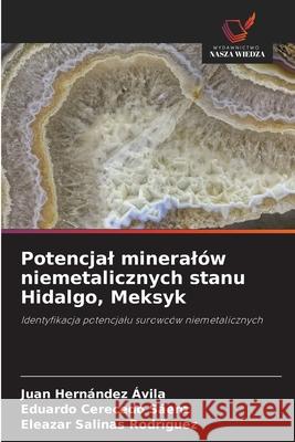 Potencjal mineralów niemetalicznych stanu Hidalgo, Meksyk
