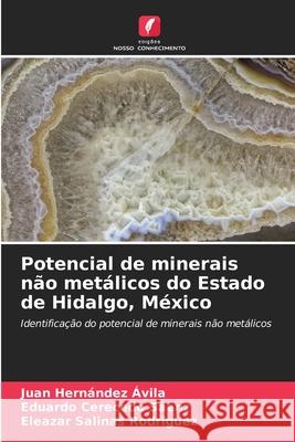 Potencial de minerais não metálicos do Estado de Hidalgo, México