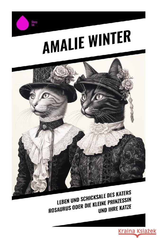 Leben und Schicksale des Katers Rosaurus oder die kleine Prinzessin und ihre Katze