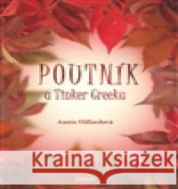 Poutník u Tinker Creeku