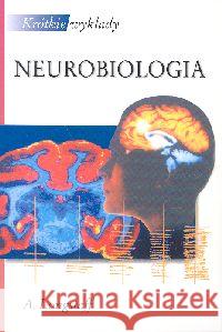 Krótkie wykłady Neurobiologia