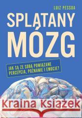Splątany mózg. Jak są ze sobą powiązane percepcja.