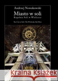 Miasto w soli The City in Salt