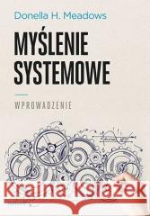 Myślenie systemowe. Wprowadzenie