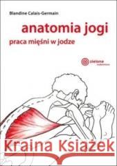 Anatomia jogi