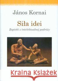 Siła idei