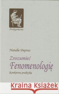 Zrozumieć fenomenologię