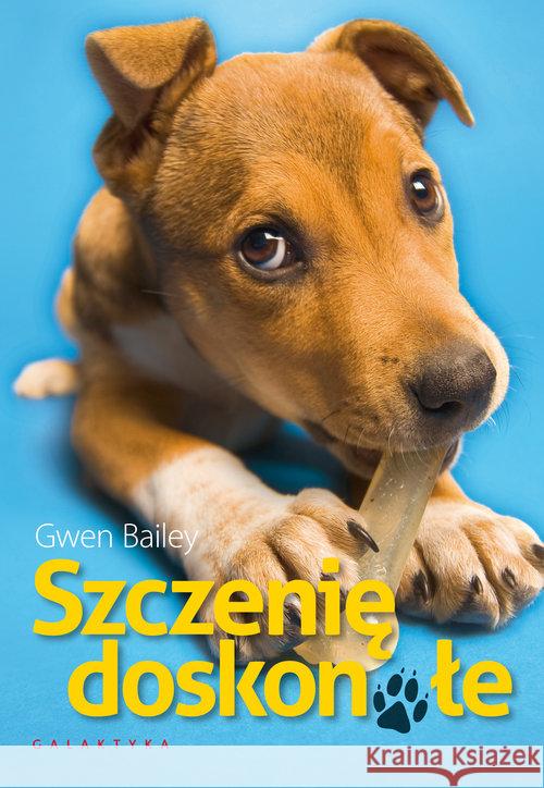 Szczenię doskonałe