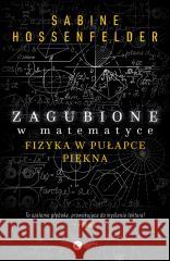 Zagubione w matematyce. Fizyka w pułapce piękna