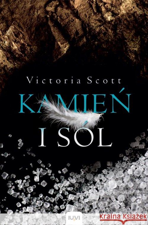 Kamień i sól T.2 BR