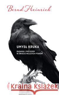Umysł kruka. Badania i przygody w świecie...