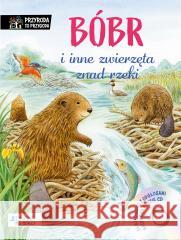 Bóbr i inne zwierzęta znad rzeki