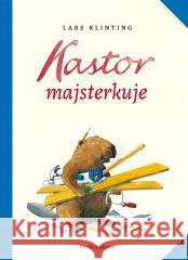 Kastor majsterkuje