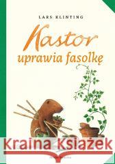 Kastor uprawia fasolkę