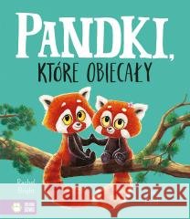 Pandki, które obiecały