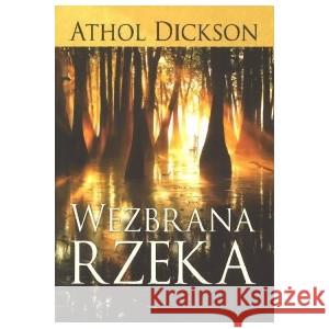 Wezbrana rzeka