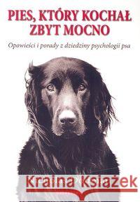 Pies, który kochał zbyt mocno
